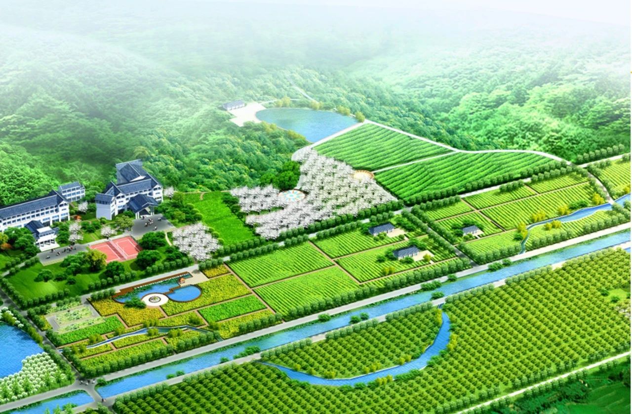 安仁县山塘生态观光果园